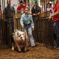 IMG_2012.JPG