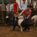IMG_2041.JPG