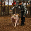 IMG_2042.JPG