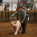 IMG_2043.JPG