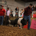 IMG_2085.JPG