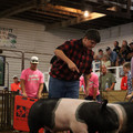 IMG_2096.JPG