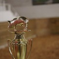 IMG_2152.JPG