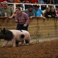 IMG_2159.JPG