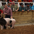 IMG_2160.JPG