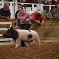 IMG_2161.JPG