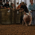 IMG_2162.JPG