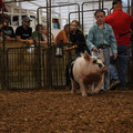 IMG_2163.JPG