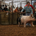IMG_2164.JPG