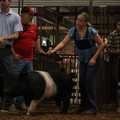 IMG_2167.JPG