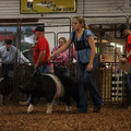 IMG_2169.JPG
