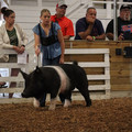 IMG_2176.JPG
