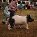 IMG_2180.JPG