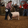 IMG_2182.JPG