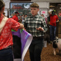 IMG_2187.JPG