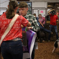 IMG_2188.JPG