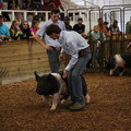 IMG_2191.JPG