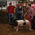 IMG_2210.JPG