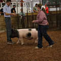 IMG_2212.JPG
