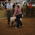 IMG_2213.JPG