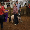 IMG_2215.JPG