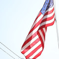 IMG_2372.JPG