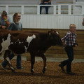 IMG_8988.JPG