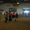 IMG_9006.JPG