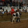 IMG_9024.JPG