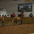 IMG_9027.JPG
