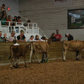 IMG_9028.JPG