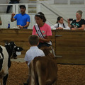 IMG_9033.JPG
