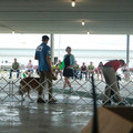 IMG_9060.JPG