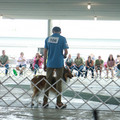 IMG_9070.JPG