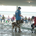 IMG_9071.JPG