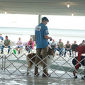 IMG_9072.JPG