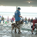 IMG_9073.JPG