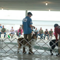 IMG_9074.JPG