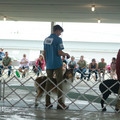 IMG_9075.JPG