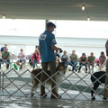 IMG_9076.JPG