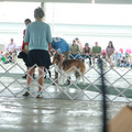 IMG_9082.JPG