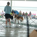 IMG_9083.JPG