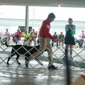 IMG_9084.JPG
