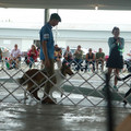 IMG_9085.JPG