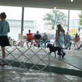 IMG_9088.JPG