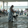 IMG_9093.JPG