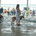 IMG_9100.JPG