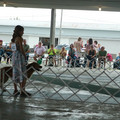 IMG_9106.JPG
