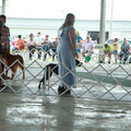 IMG_9108.JPG