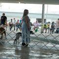 IMG_9111.JPG